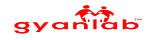 Gyan Labs